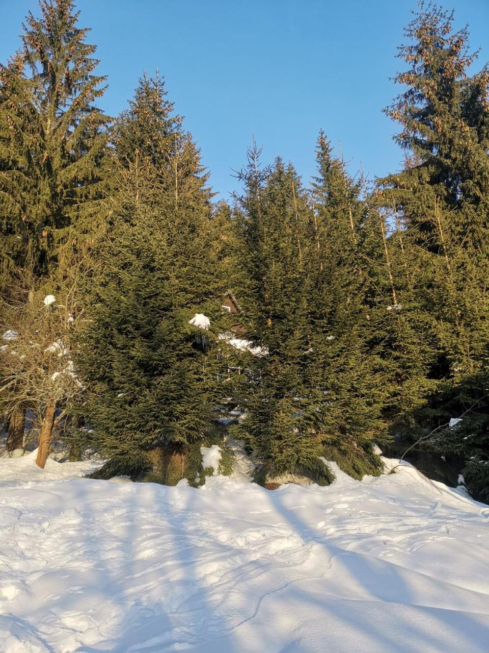 Holiday Home In Harrachov 2311 Εξωτερικό φωτογραφία